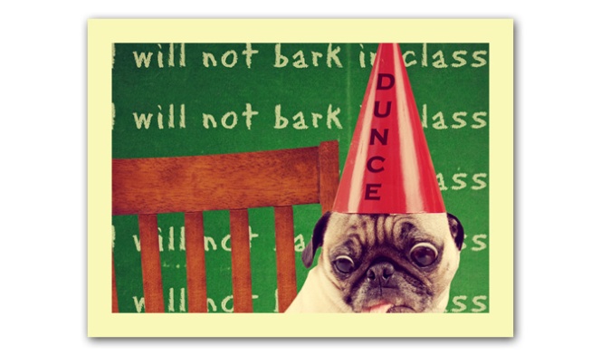 funny dog card with a pug wearing a dunce hat looking at an app